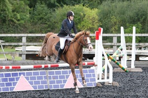 Class 6 - Fences not above 2'9